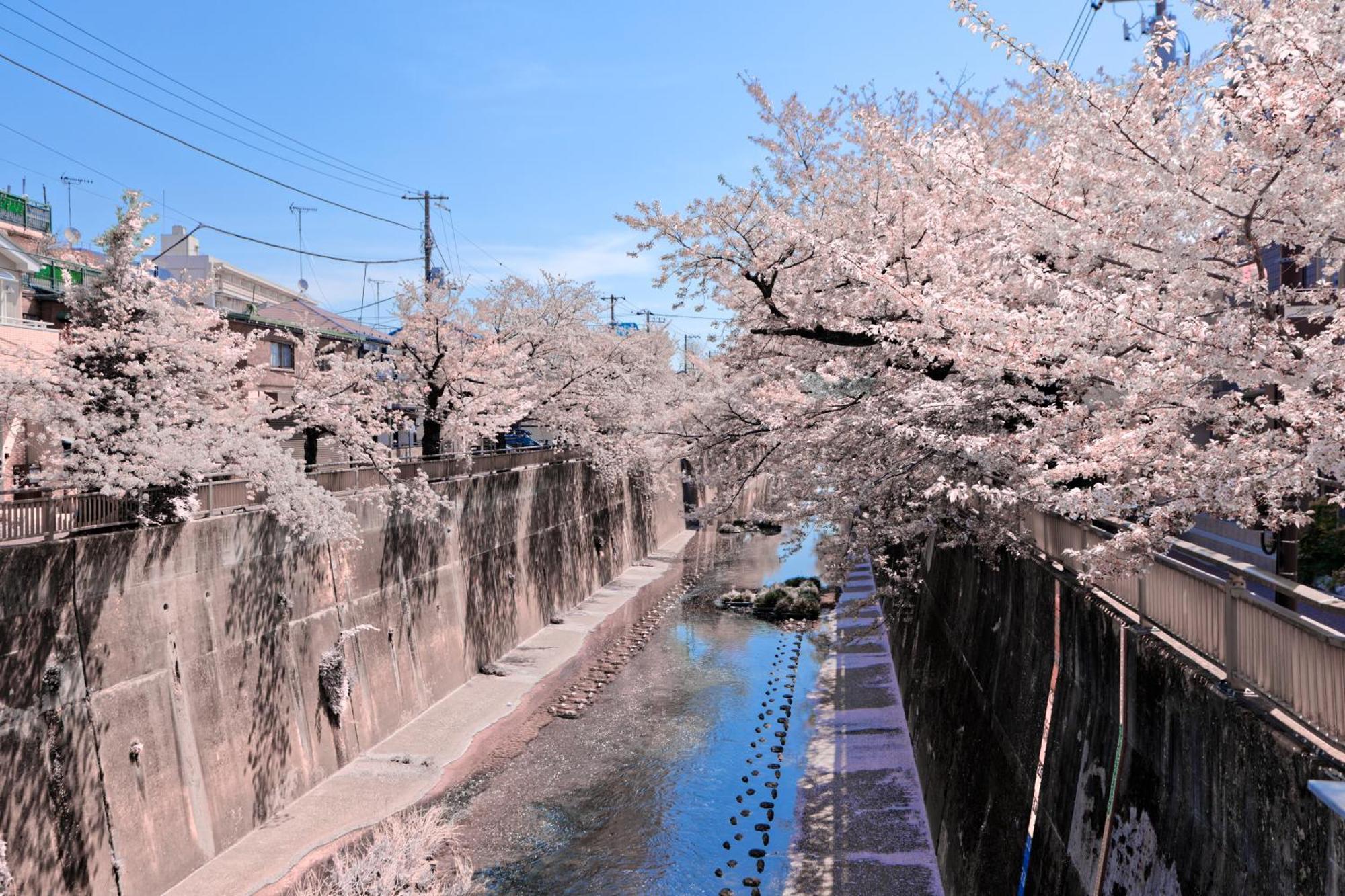 Calm Riverside Inn Close To Ikebukuro Tokyo Exterior photo